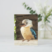 Kookaburra Postkarte (Stehend Vorderseite)