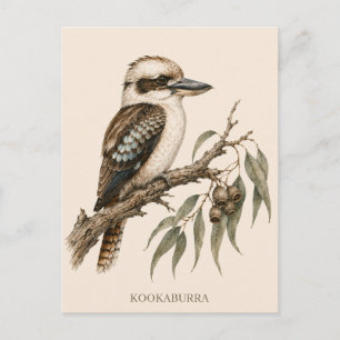 Kookaburra-Postkarte Bush Edition Postkarte