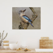 Kookaburra Print Poster (Küche)