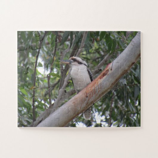 Kookaburra Puzzle (Horizontal)
