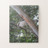 Kookaburra Puzzle (Vertikal)