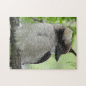 Kookaburra Puzzle (Horizontal)