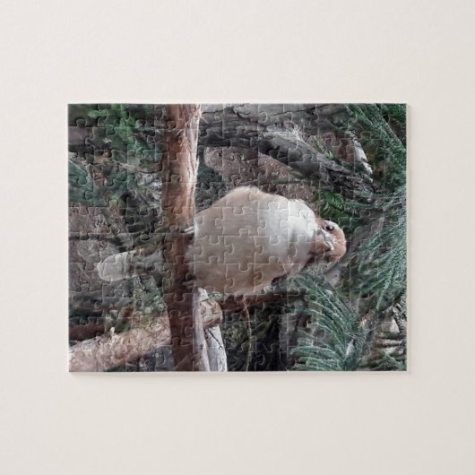 Kookaburra Puzzle (Horizontal)