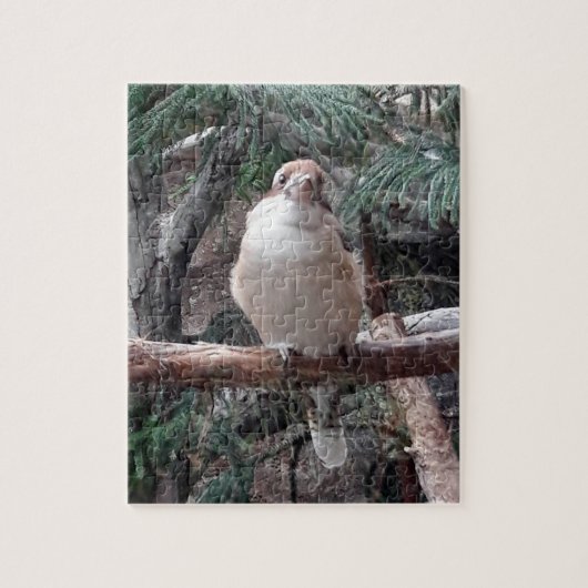 Kookaburra Puzzle (Vertikal)