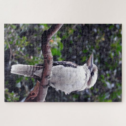 Kookaburra Puzzle (Horizontal)