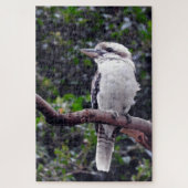 Kookaburra Puzzle (Vertikal)