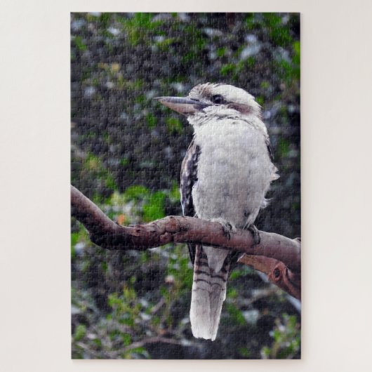 Kookaburra Puzzle (Vertikal)