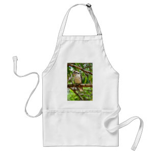 KOOKABURRA QUEENSLAND AUSTRALIEN SCHÜRZE