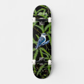 Kookaburra Skateboard (Vorderseite)