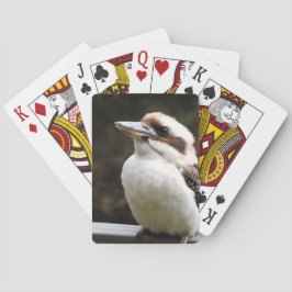 Kookaburra Spielkarten