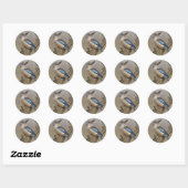 Kookaburra Sticker (Blatt)