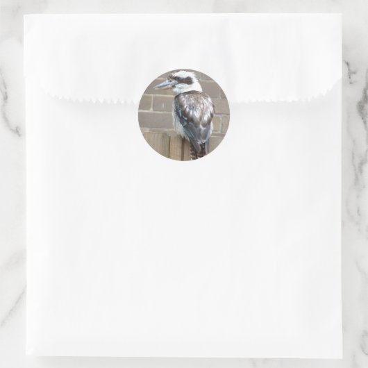 Kookaburra Sticker (Tasche)
