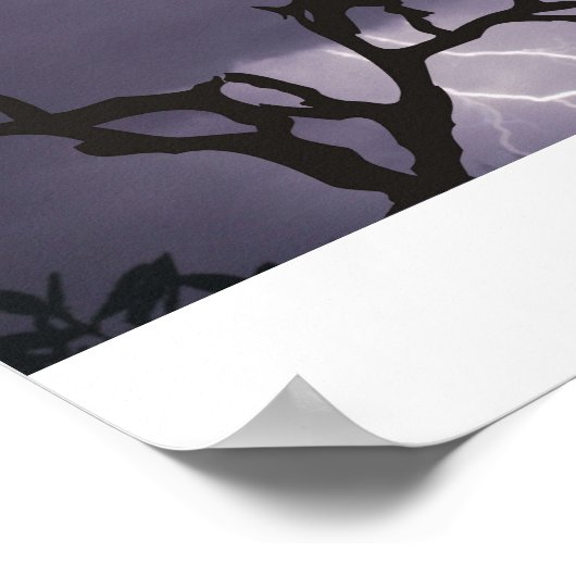 Kookaburra Storm Poster (Ecke)