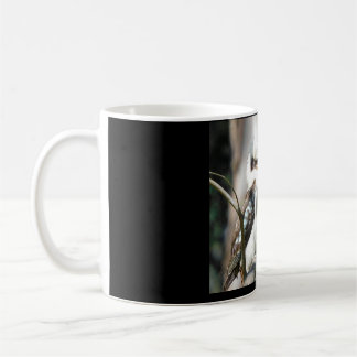 Kookaburra-Tasse Kaffeetasse