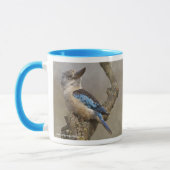 Kookaburra-Tasse Tasse (Links)