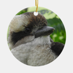 Kookaburra Verzierung Keramik Ornament