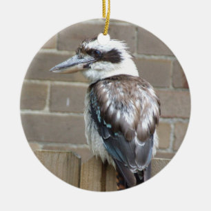 Kookaburra Verzierung Keramik Ornament