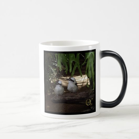 Kookaburras Lachen Verwandlungstasse (Rechts)