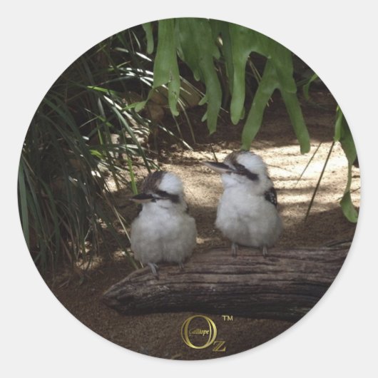 Kookaburras Laughing Runder Aufkleber (Vorderseite)