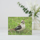 Kookabuura Postkarte (Stehend Vorderseite)