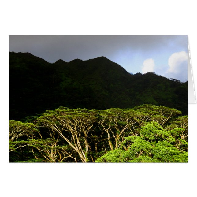 Koolau Berge (Vorderseite (Horizontal))