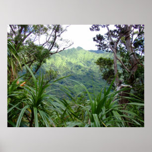 Koolau Berge über Manoa Tal, O'ahu Poster