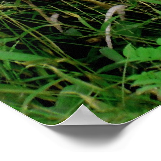 Ko'olau-Gebirgskette Poster (Ecke)