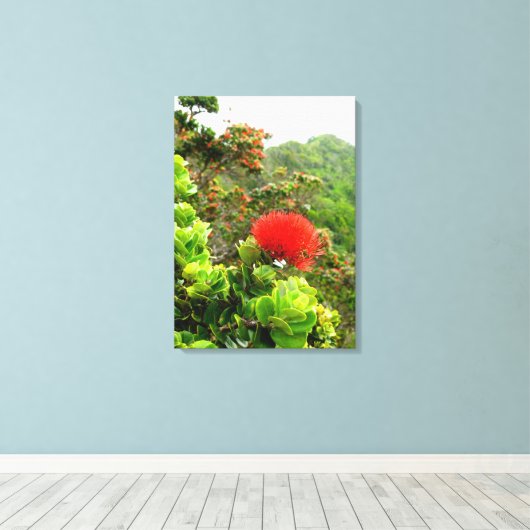 Koolau Leinwanddruck (Insitu (Holzboden))