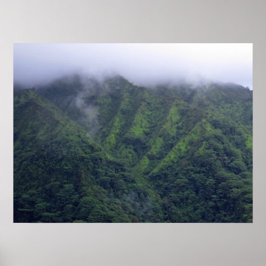 Koolau Poster (Vorne)
