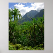 Koolau Poster (Vorne)