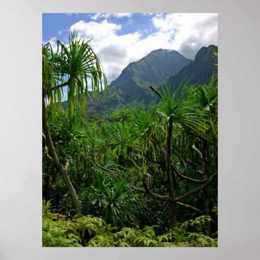 Koolau Poster (Vorne)