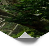 Koolau Poster (Ecke)