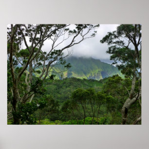 Koolau Poster