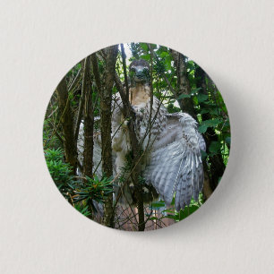 Koordinaten von roten Schwanzfalken Button