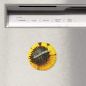 Koordination von Elementen der Moth-Raupe im gemei Magnet (In Situ (Geschirrspüler))