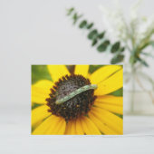 Koordination von Elementen der Moth-Raupe im gemei Postkarte (Stehend Vorderseite)