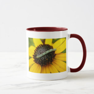 Koordination von Elementen der Moth-Raupe im gemei Tasse