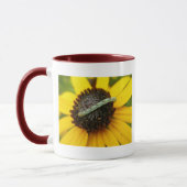 Koordination von Elementen der Moth-Raupe im gemei Tasse (Links)