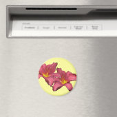 Koordinationselemente der roten Taglilie Magnet (In Situ (Geschirrspüler))