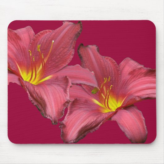 Koordinationselemente der roten Taglilie Mousepad (Vorne)