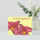 Koordinationselemente der roten Taglilie Postkarte (Stehend Vorderseite)