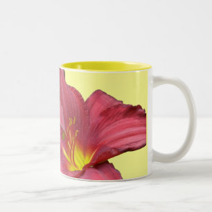 Koordinationselemente der roten Taglilie Zweifarbige Tasse