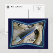 Koordinationselemente für blaue Jay-Feder Postkarte (Vorne/Hinten)
