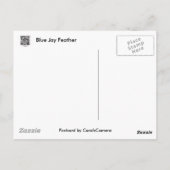 Koordinationselemente für blaue Jay-Feder Postkarte (Rückseite)