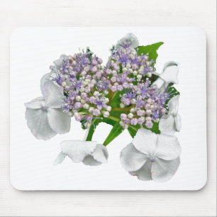 Koordinationselemente für Blue Lace Hydrangea Mousepad