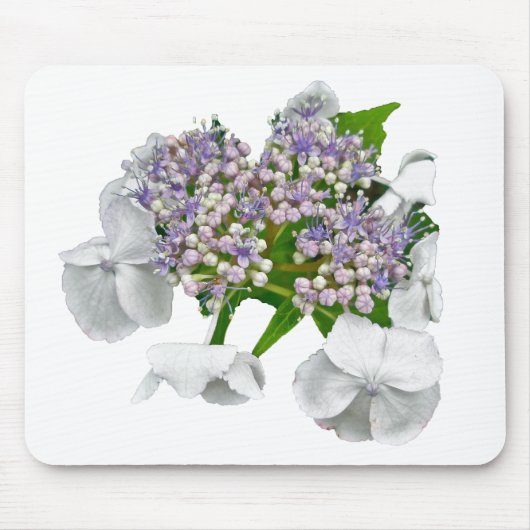 Koordinationselemente für Blue Lace Hydrangea Mousepad (Vorne)