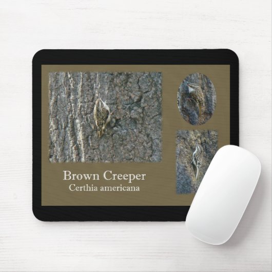 Koordinationselemente für braunen Strampler Songbi Mousepad (Mit Mouse)