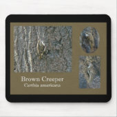 Koordinationselemente für braunen Strampler Songbi Mousepad (Vorne)