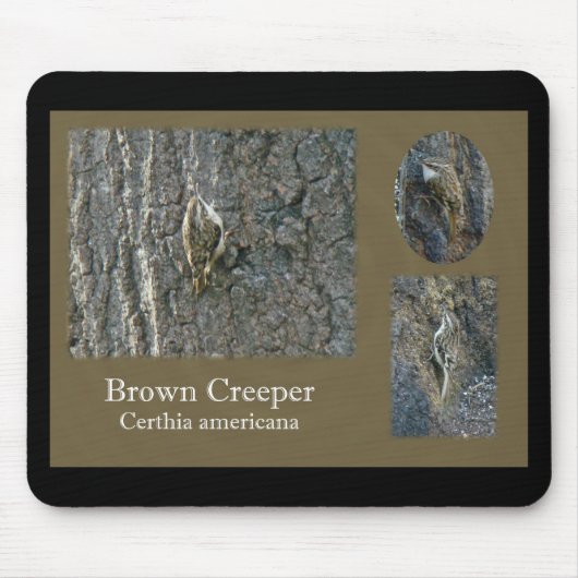 Koordinationselemente für braunen Strampler Songbi Mousepad (Vorne)