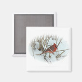 Koordinationselemente für den östlichen Kardinal S Magnet (Vorderseite/Rückseite)
